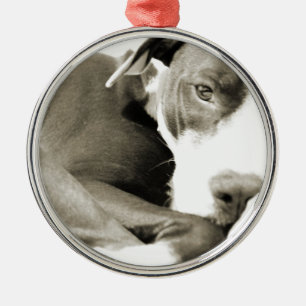 Adorno Metálico bulldog de hojalata adormilado