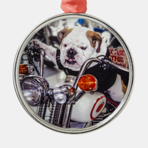 Adorno Metálico Bulldog en la motocicleta