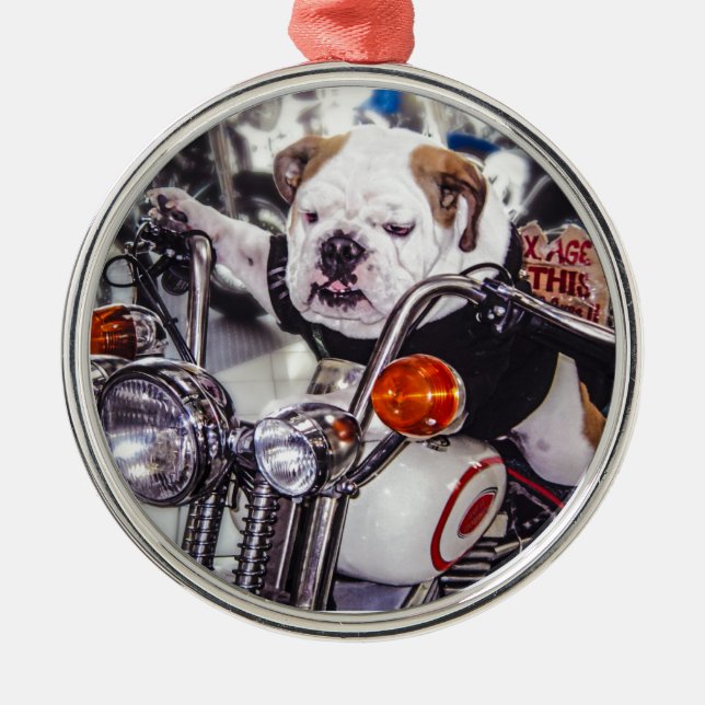Adorno Metálico Bulldog en la motocicleta (Frente)