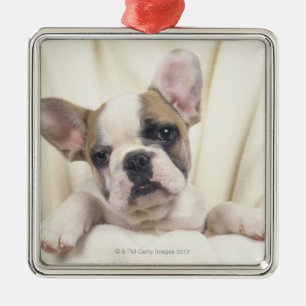 Adorno Metálico Bulldog inglés