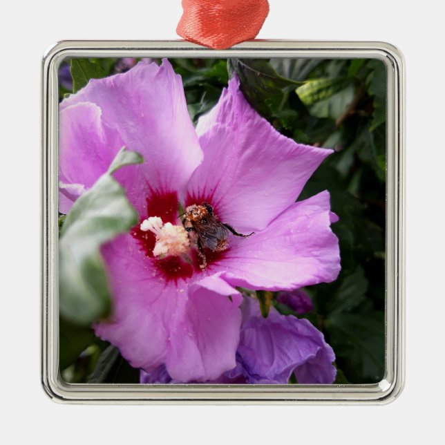 Adorno Metálico Bumblebee en la flor de Hibiscus (Frente)