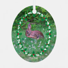 Bunny & Cardinal o tu foto con la frontera holly