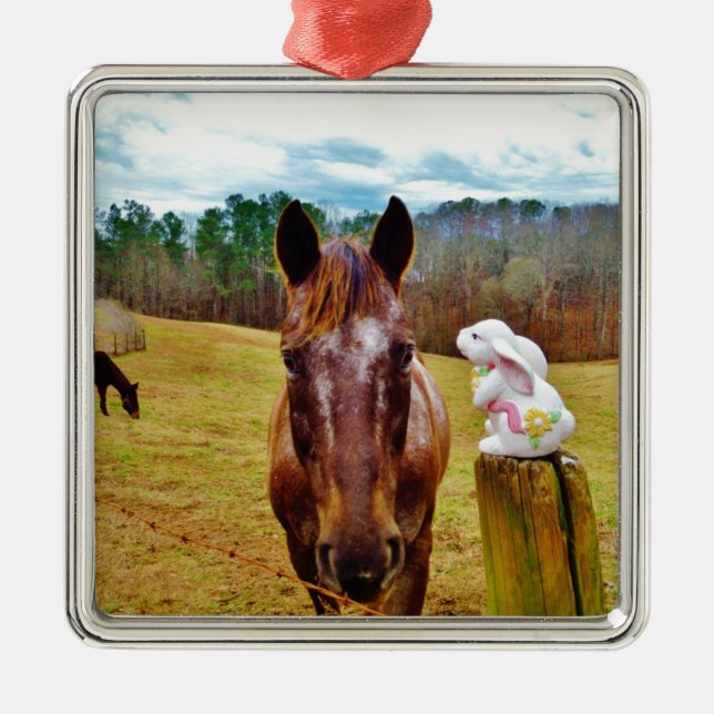 Adorno Metálico Bunny de Pascua y caballo marrón (Frente)