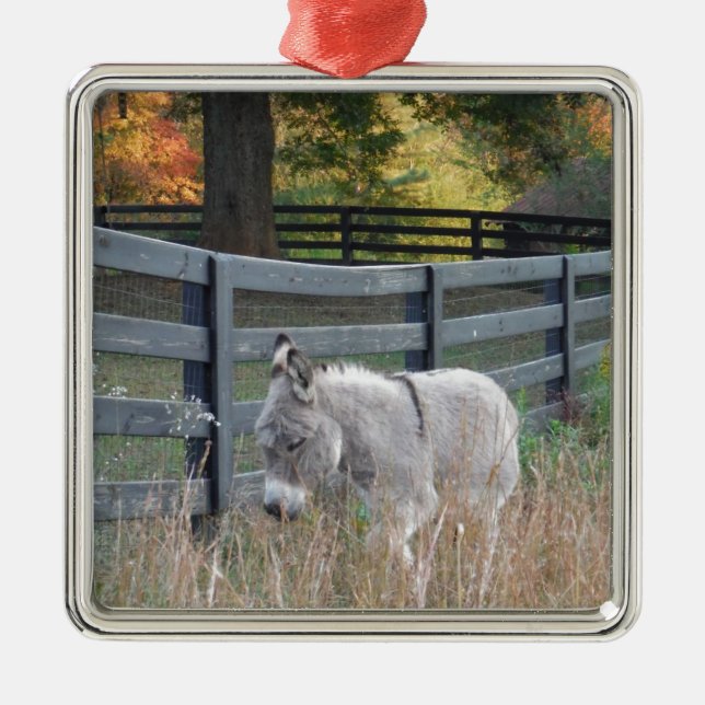 Adorno Metálico Burro en un campo de otoño (Frente)