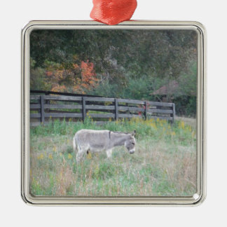 Adorno Metálico Burro en un campo otoñal.