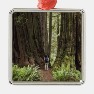 Adorno Metálico CA, Parque Estatal de Redwoods Jedediah Smith,