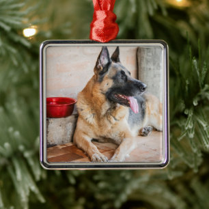 Adorno Metálico Caballo alemán descansando por cuenca acuática