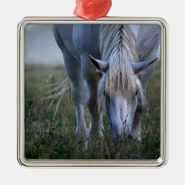 Adorno Metálico Caballo blanco (Frente)