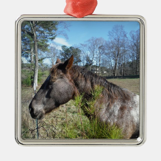 Adorno Metálico Caballo color Coco y Crema (Frente)