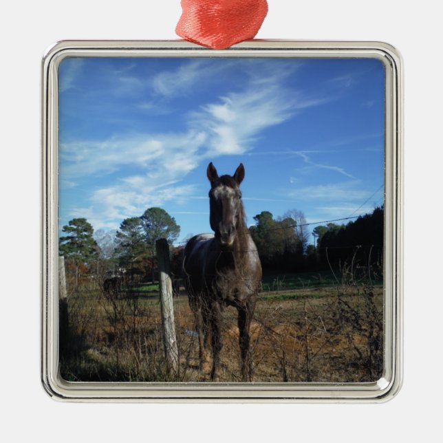 Adorno Metálico Caballo marrón de chocolate lechoso en azul (Frente)