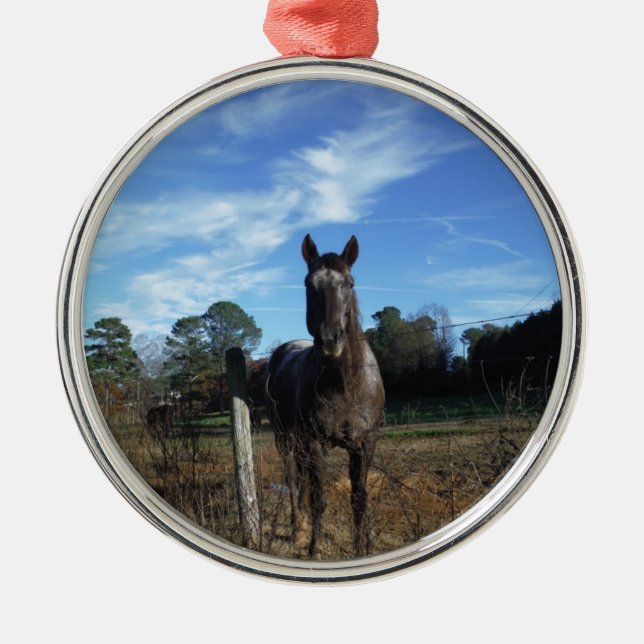 Adorno Metálico Caballo marrón de chocolate lechoso en azul (Frente)