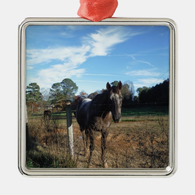 Adorno Metálico Caballo marrón de Coco y Crema (Frente)