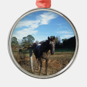 Adorno Metálico Caballo marrón de Coco y Crema