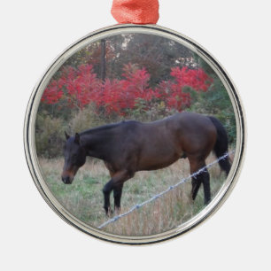Adorno Metálico Caballo marrón en los árboles de otoño rojos
