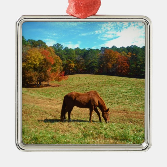 Adorno Metálico Caballo marrón rojo, cielo azul Verde azulado (Frente)