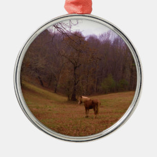 Adorno Metálico Caballo marrón y rubio en un campo