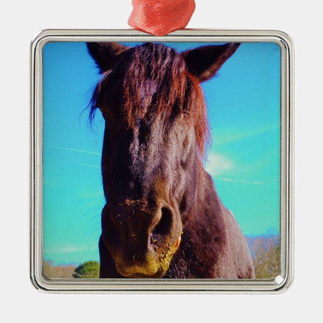 Adorno Metálico Caballo púrpura con boca verde (Frente)