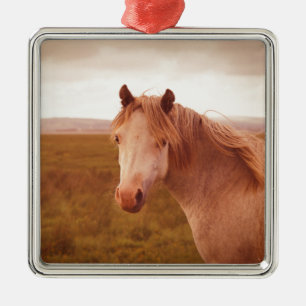 Adorno Metálico Caballo salvaje vintage