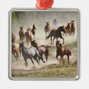 Adorno Metálico Caballos corriendo durante la rodeo, Montana