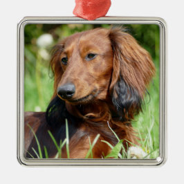 Adorno Metálico Cabello largo marrón Dachshund - Doxix