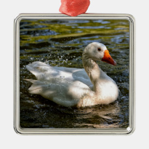 Adorno Metálico Cabeza blanca nadando en el agua