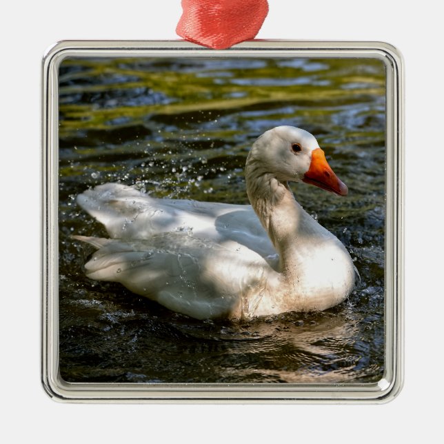 Adorno Metálico Cabeza blanca nadando en el agua (Frente)