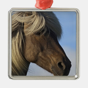Adorno Metálico Cabeza de caballo islandés, Islandia