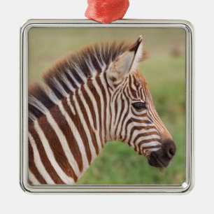 Adorno Metálico Cabeza de cebra bebé, Tanzania