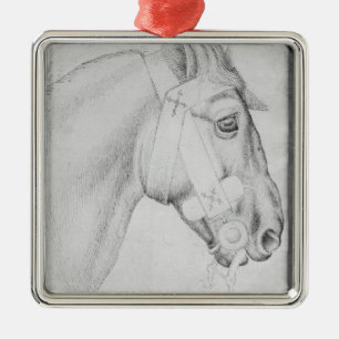 Adorno Metálico Cabeza de un caballo, el álbum de Vallardi