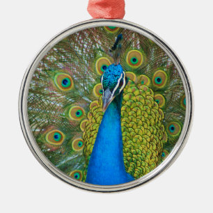 Adorno Metálico Cabeza del azul de pavo real con y plumas de cola