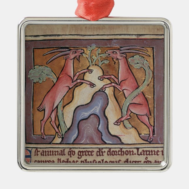 Adorno Metálico Cabras Roy Wild de un Bestiario (Frente)