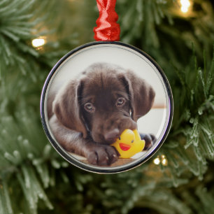 Adorno Metálico Cachorro de chocolate con pato de juguete