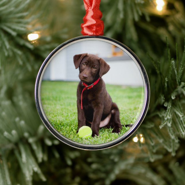 Adorno Metálico Cachorro De Chocolate Labrador Con Pelota De Tenis (Árbol)