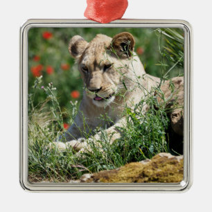 Adorno Metálico Cachorro de león cerrado entre la vegetación