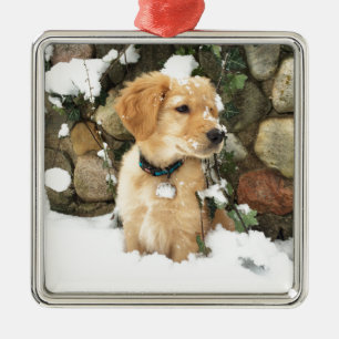 Adorno Metálico Cachorro de nieve