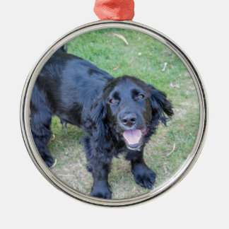 Adorno Metálico Cachorro negro