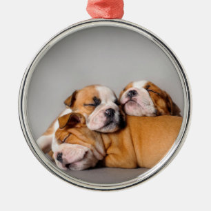 Adorno Metálico Cachorros de bulldog inglés durmientes