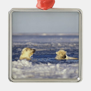 Adorno Metálico Cachorros de oso polar jugando