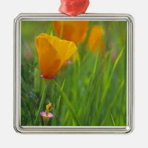 Adorno Metálico Cachorros dorados de California en un campo verde