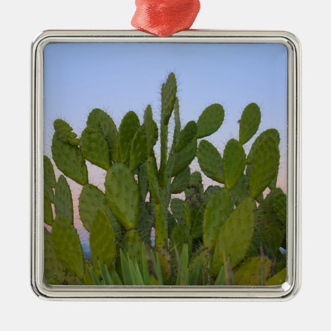 Adorno Metálico Cacti y sisal en el bosque seco (Frente)