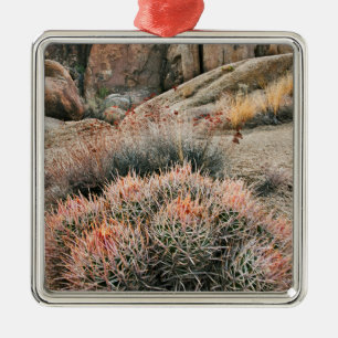 Adorno Metálico Cactus de Barril en California