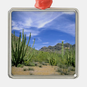 Adorno Metálico Cactus del desierto en el Monumento Nacional de la