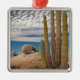 Adorno Metálico Cactus En Escenario Desértico