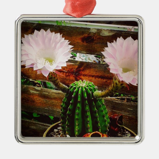 Adorno Metálico Cactus floreciente #succulent (Frente)