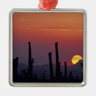 Adorno Metálico Cactus Saguaro Carnegiea gigantea), Atardecer,