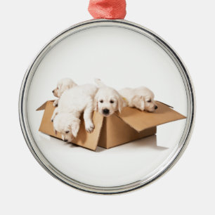 Adorno Metálico Caja del golden retriever de diversión