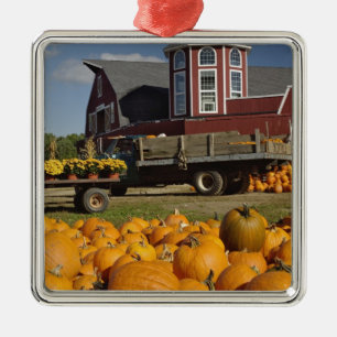 Adorno Metálico Calabazas en granja en otoño cerca de Concord, 2