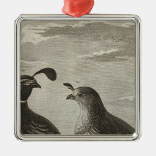 Adorno Metálico California