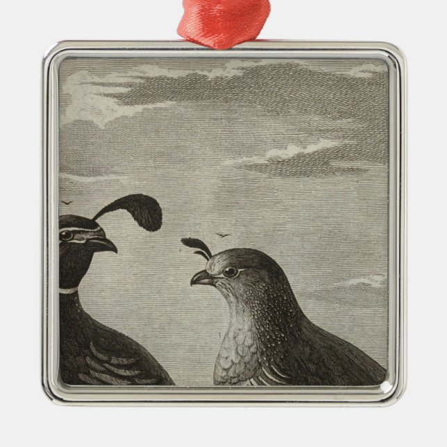 Adorno Metálico California (Frente)