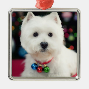 Adorno Metálico Campana de navidad del perrito que lleva en cuello